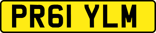 PR61YLM