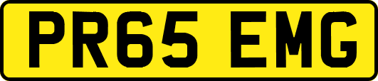 PR65EMG