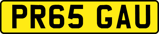 PR65GAU