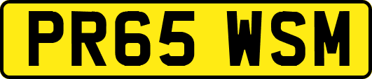 PR65WSM
