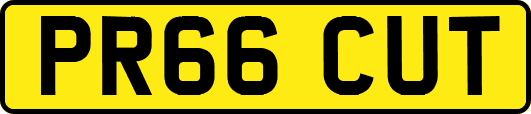 PR66CUT