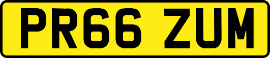 PR66ZUM