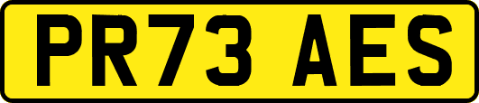 PR73AES