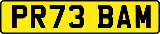 PR73BAM
