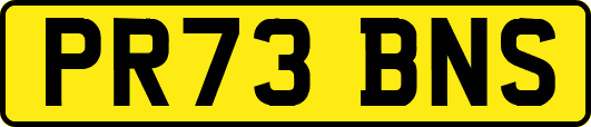 PR73BNS