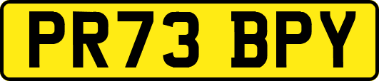 PR73BPY