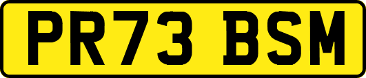 PR73BSM