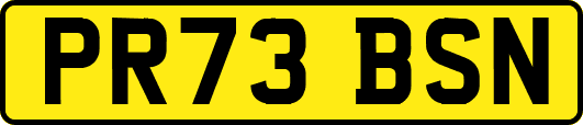 PR73BSN