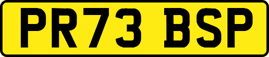 PR73BSP