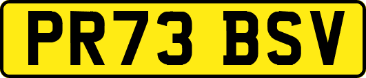 PR73BSV