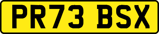 PR73BSX