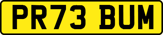 PR73BUM