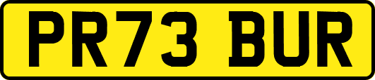 PR73BUR