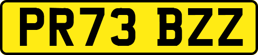 PR73BZZ