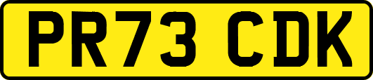 PR73CDK