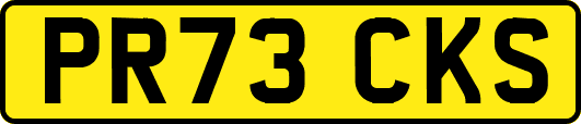 PR73CKS