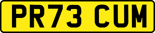 PR73CUM