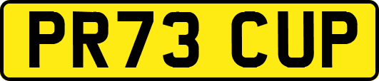 PR73CUP