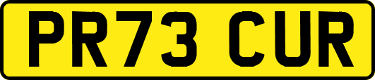 PR73CUR