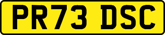 PR73DSC