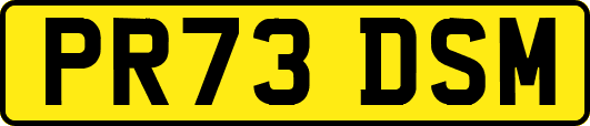 PR73DSM
