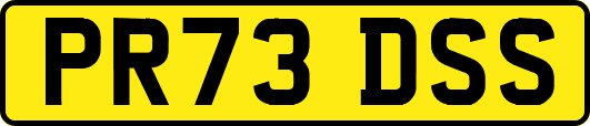 PR73DSS