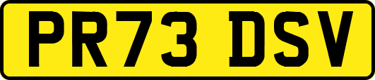 PR73DSV