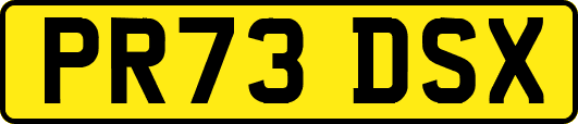 PR73DSX