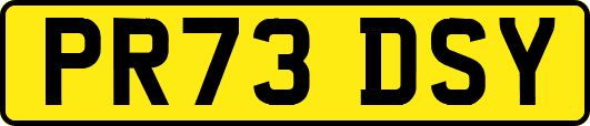 PR73DSY