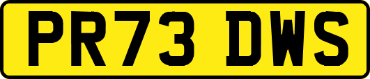 PR73DWS