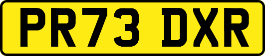 PR73DXR