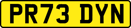 PR73DYN