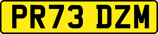 PR73DZM