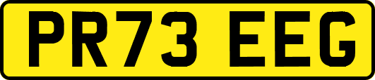 PR73EEG