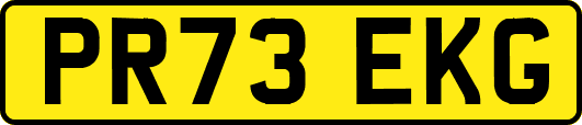 PR73EKG