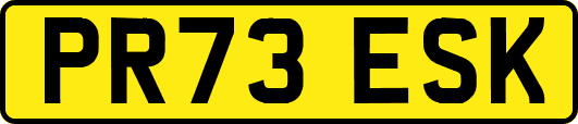 PR73ESK