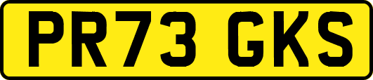 PR73GKS