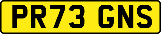 PR73GNS
