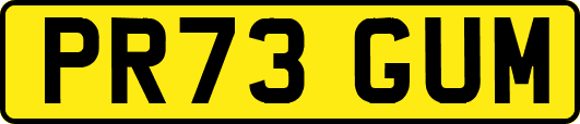 PR73GUM