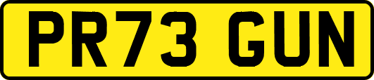PR73GUN