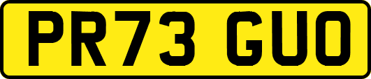 PR73GUO