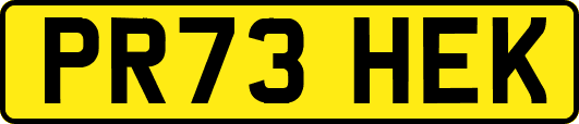 PR73HEK