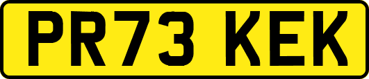 PR73KEK