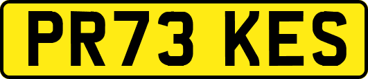 PR73KES