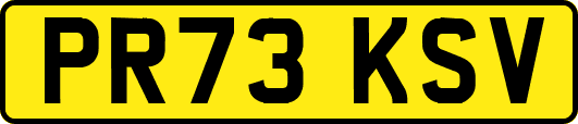 PR73KSV