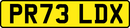 PR73LDX