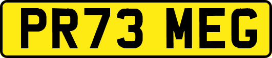 PR73MEG
