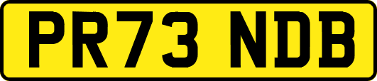 PR73NDB