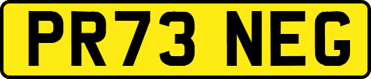 PR73NEG