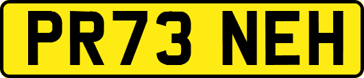 PR73NEH